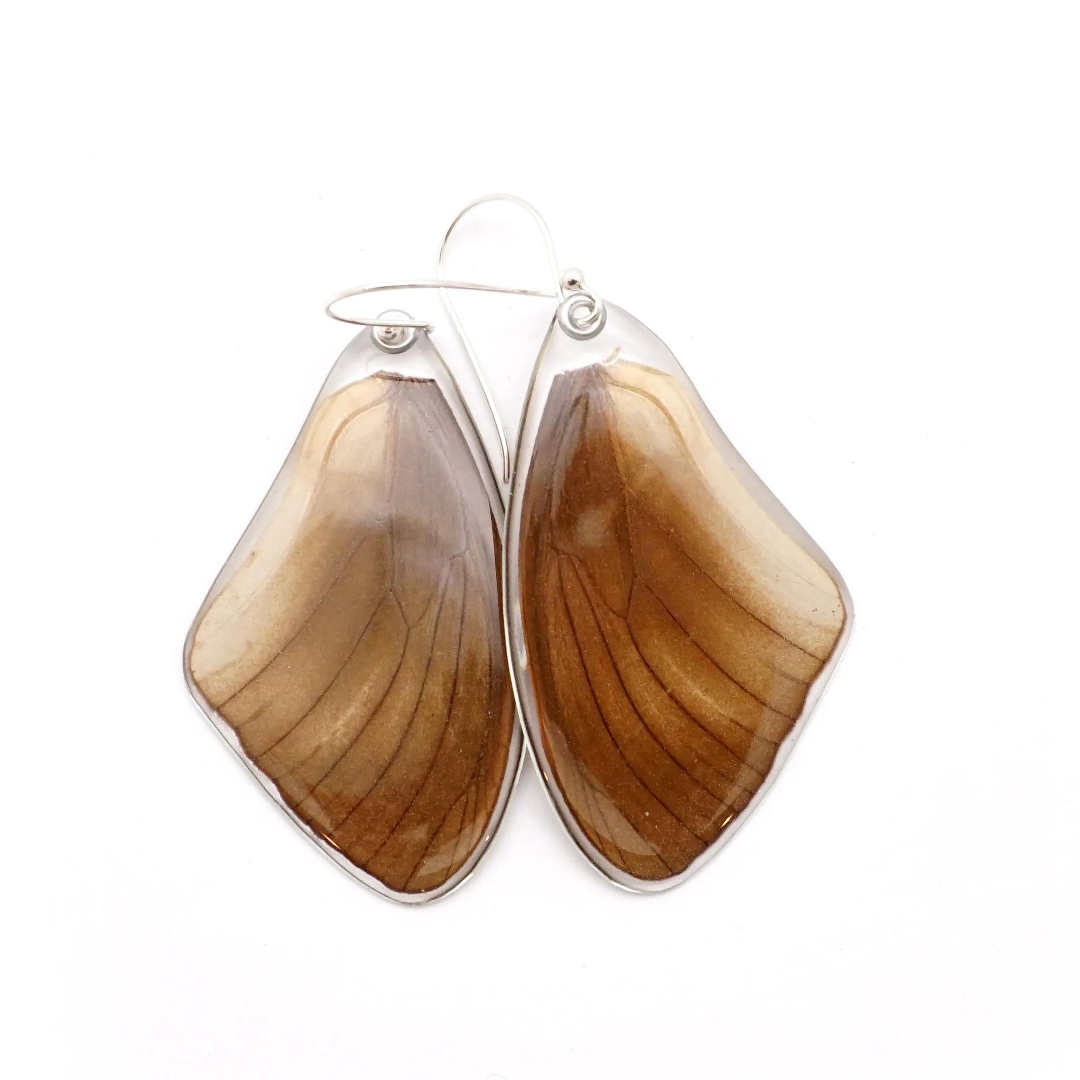 0617 Butterfly Wing Earrings, Taenaris Urania, bottom wings SPECIAL OFFER