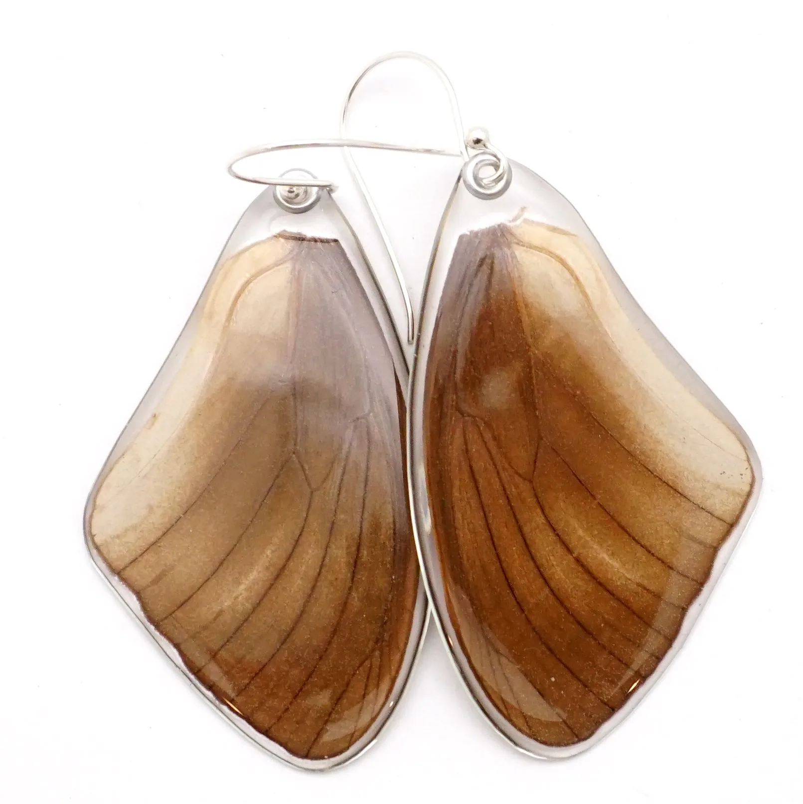 0617 Butterfly Wing Earrings, Taenaris Urania, bottom wings SPECIAL OFFER