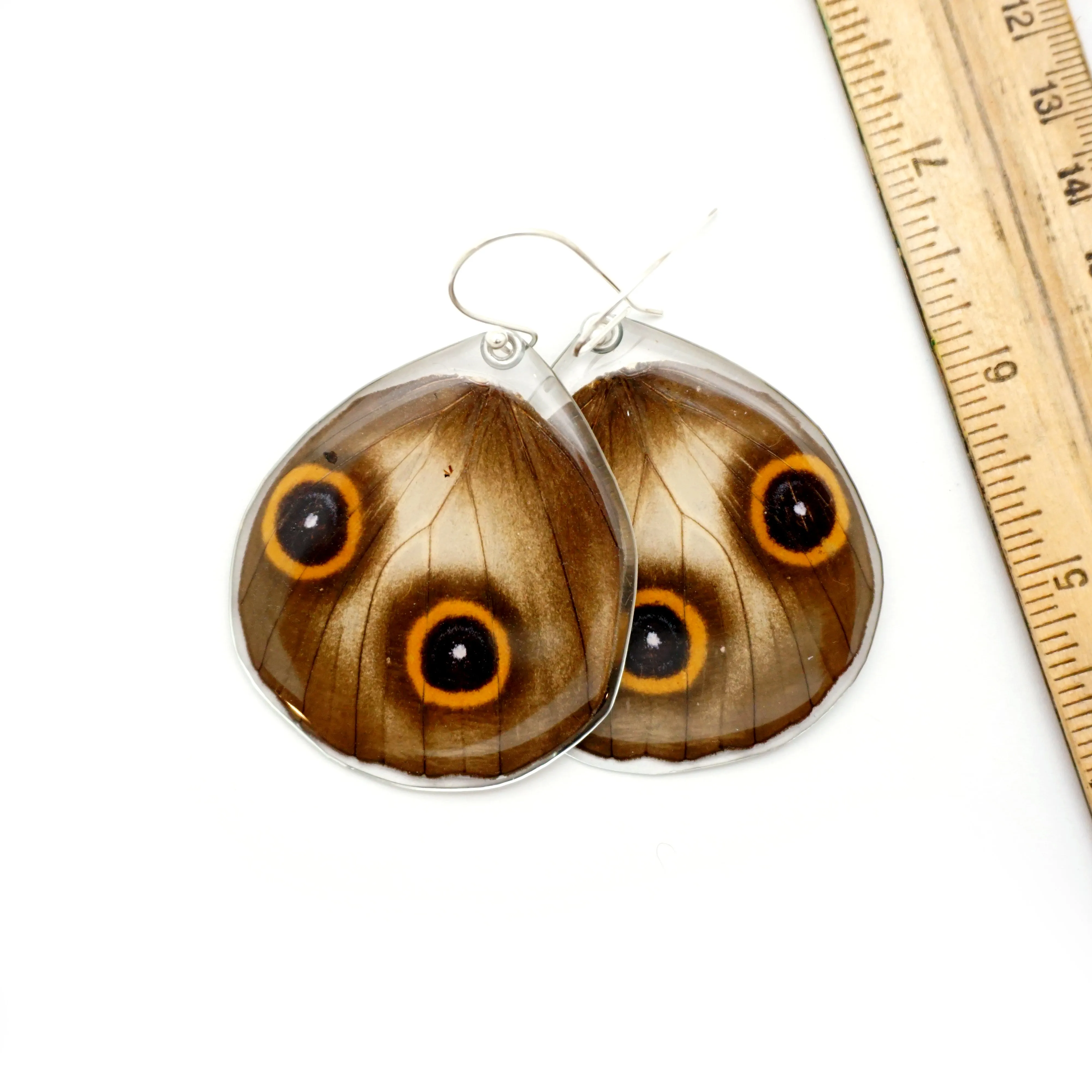 0617 Butterfly Wing Earrings, Taenaris Urania, bottom wings SPECIAL OFFER