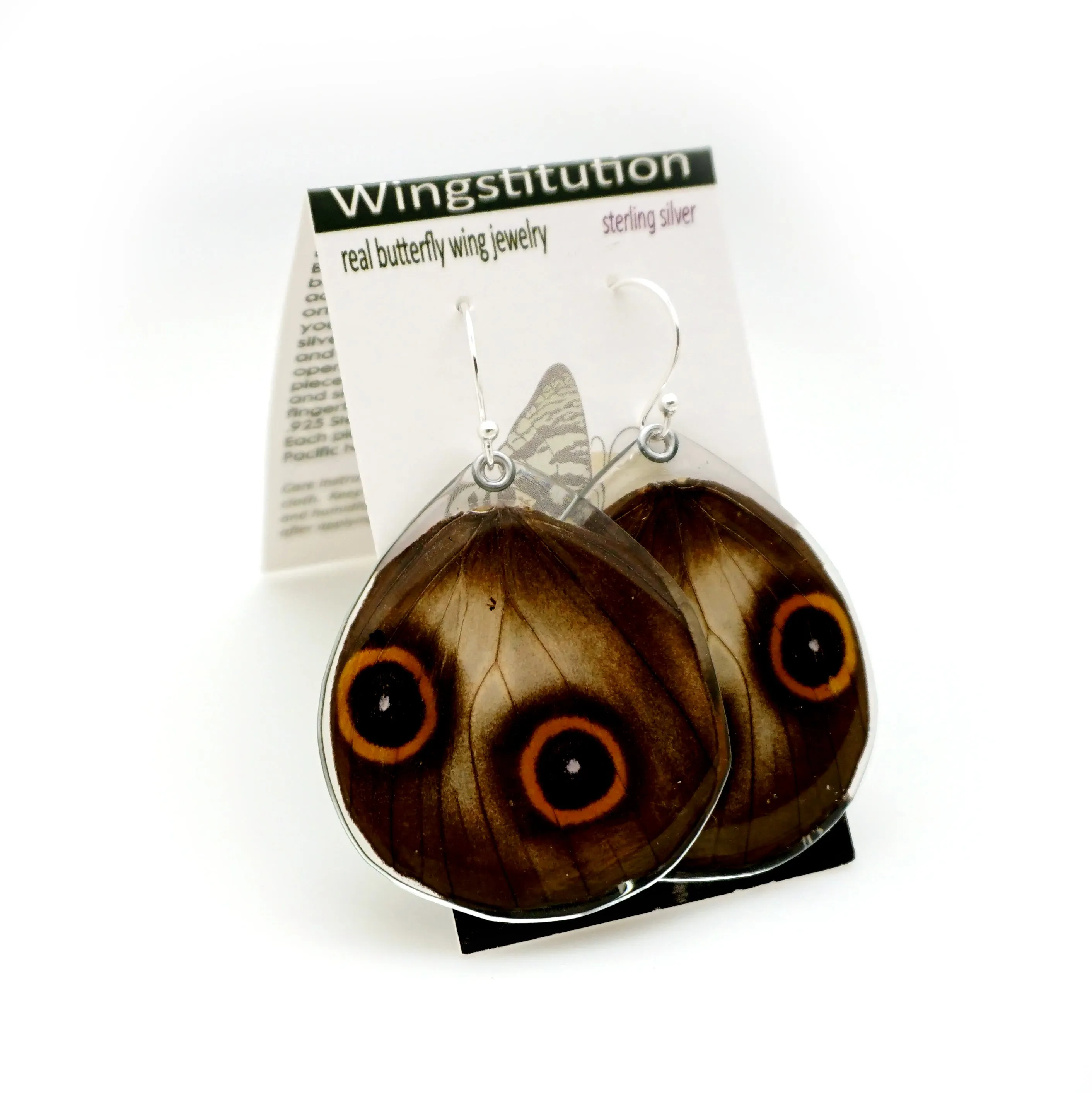 0617 Butterfly Wing Earrings, Taenaris Urania, bottom wings SPECIAL OFFER