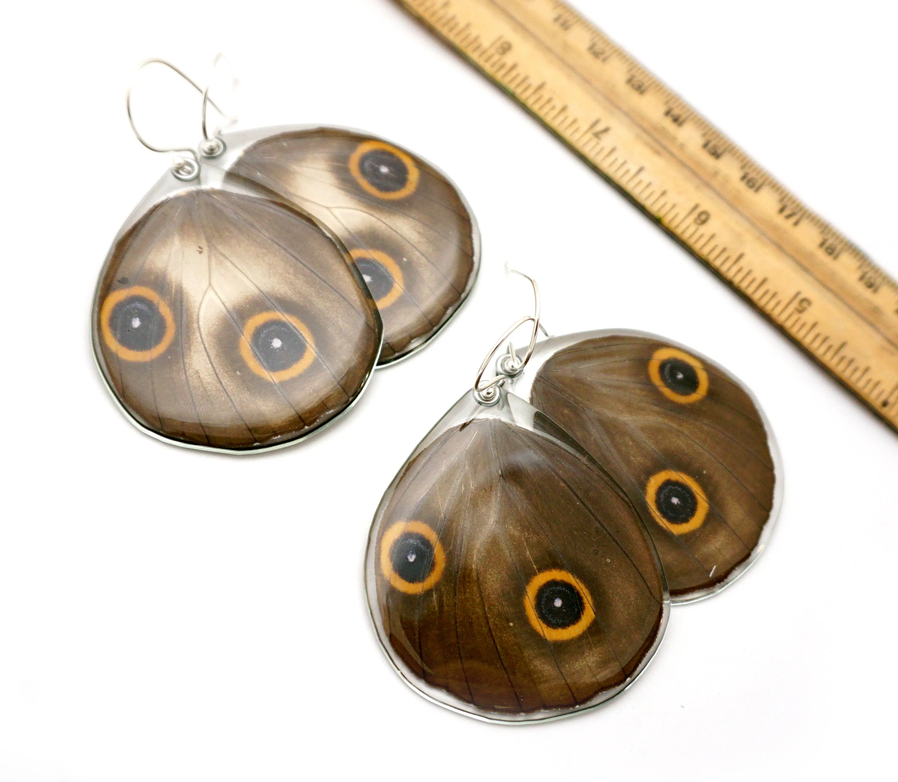 0617 Butterfly Wing Earrings, Taenaris Urania, bottom wings SPECIAL OFFER