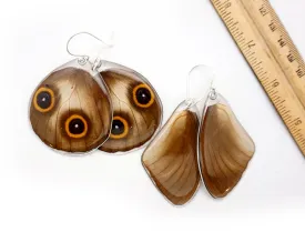 0617 Butterfly Wing Earrings, Taenaris Urania, bottom wings SPECIAL OFFER