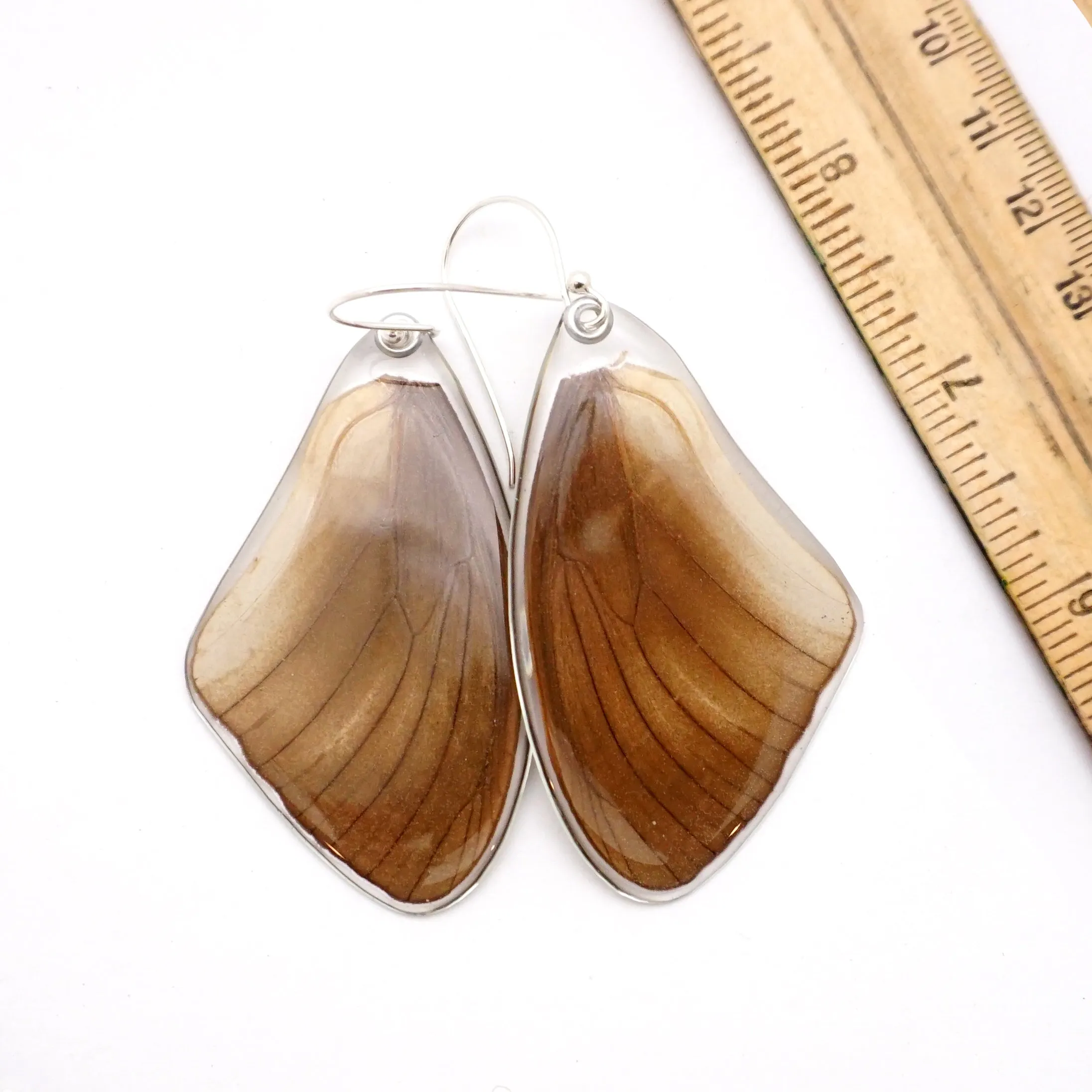 0617 Butterfly Wing Earrings, Taenaris Urania, bottom wings SPECIAL OFFER