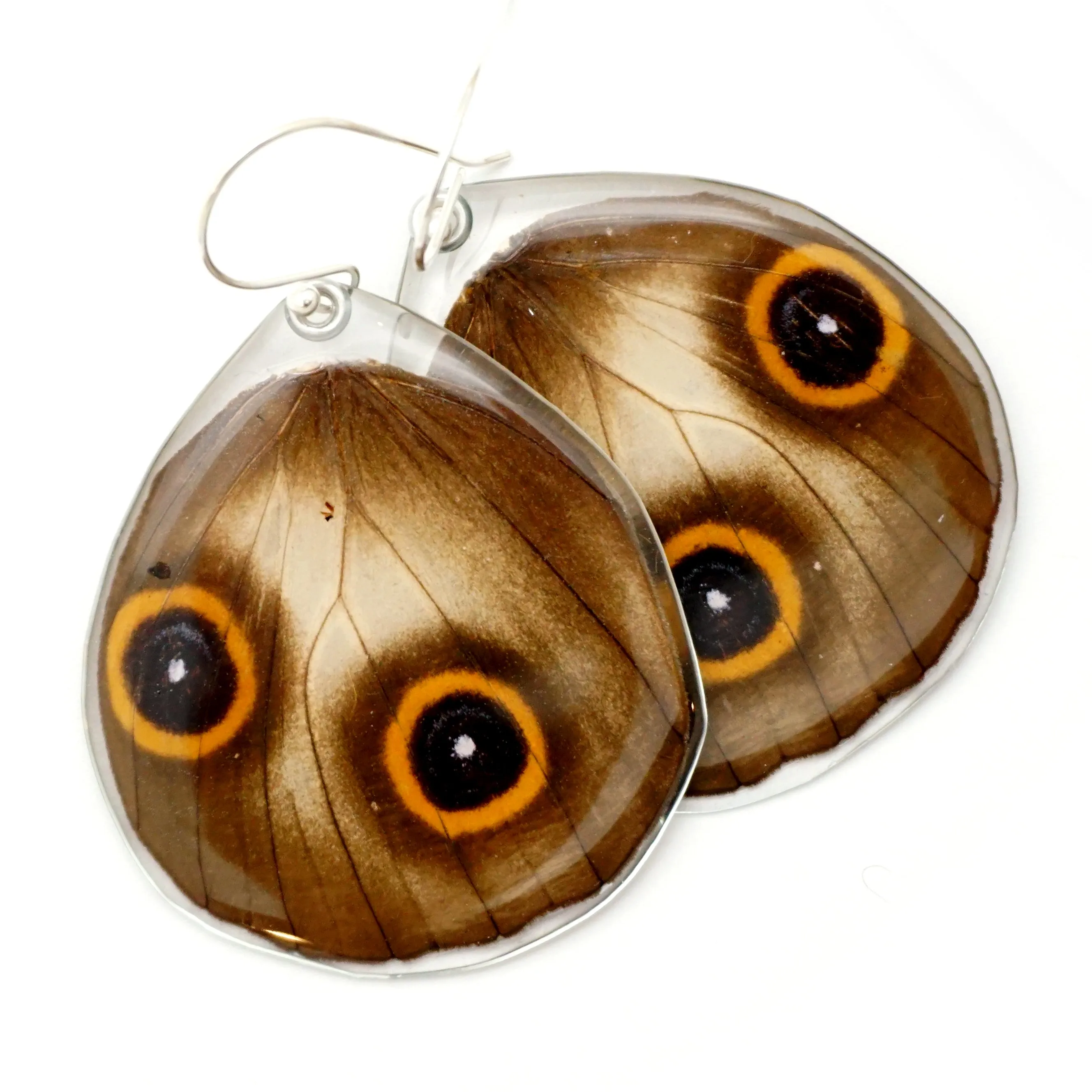 0617 Butterfly Wing Earrings, Taenaris Urania, bottom wings SPECIAL OFFER