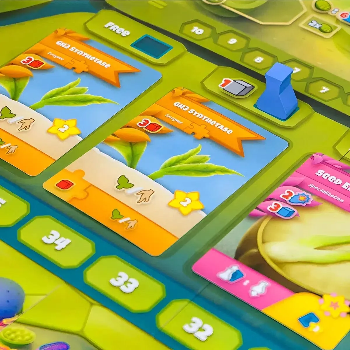 Cellulose: A Plant Cell Biology Game - Board Game - Genius Games