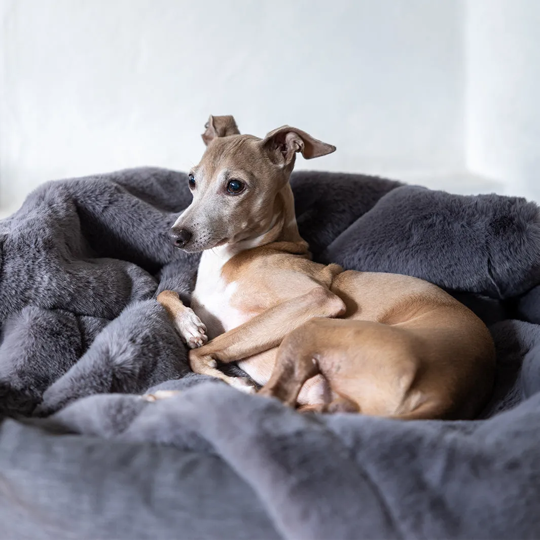 Faux-Fur Dog Blanket in Russian Blue
