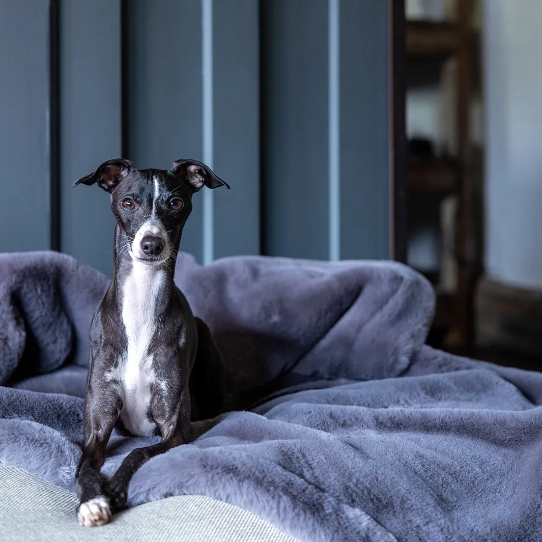 Faux-Fur Dog Blanket in Russian Blue